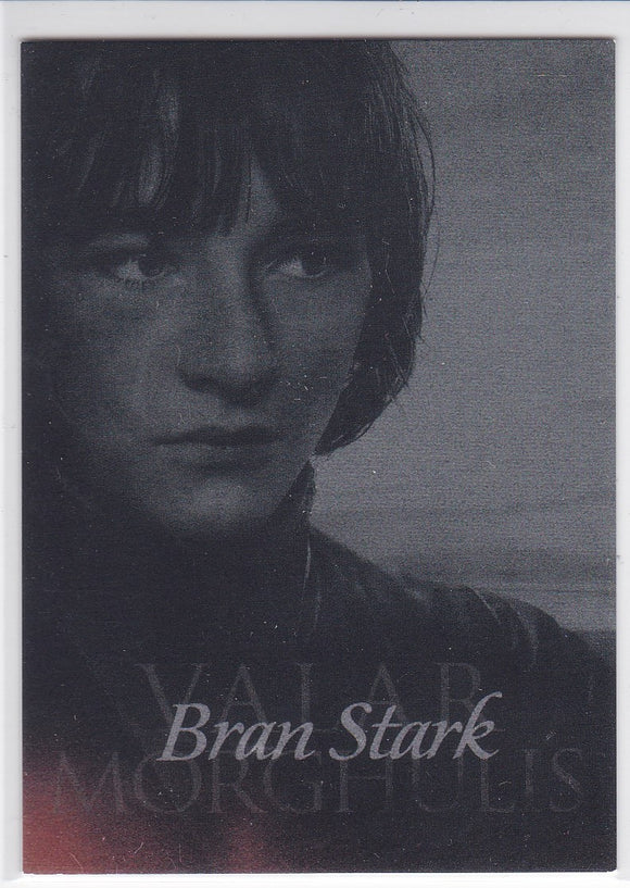 Game Of Thrones Season 4 Valar Morghulis card G6 Bran Stark