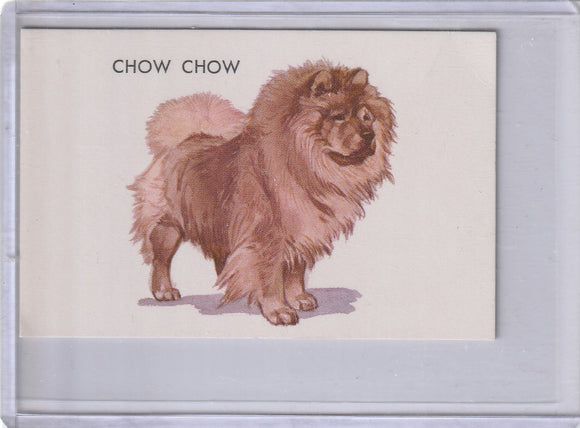 Chow Chow 1960s General Mills Gravy Train Dog Picture Card