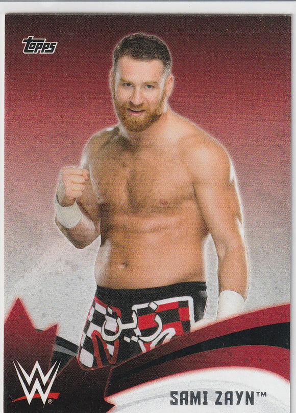 2015 Topps WWE Superstars Of Canada card #7 of 10 Sami Zayn