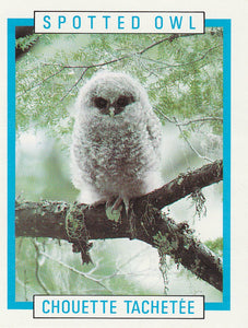 Kellogg's Canadian Wildlife Federation Spotted Owl trading card