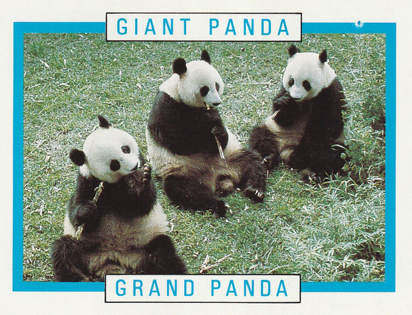 Kellogg's Canadian Wildlife Federation Giant Panda trading card