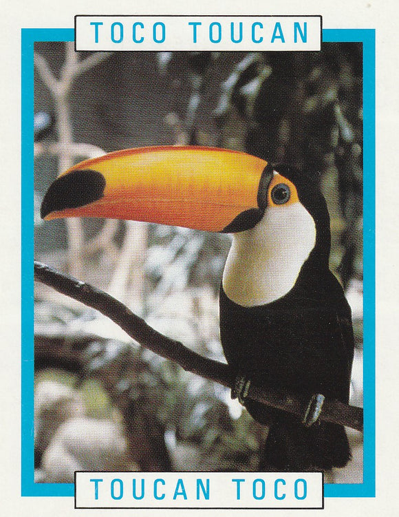 Kellogg's Canadian Wildlife Federation Toco Toucan trading card