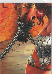 2012 Breygent Red Sonja Puzzle card RS-P7