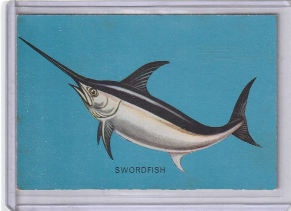 1962 Parkhurst Fish (V339-19) card #14 Swordfish