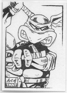Art of TMNT Teenage Mutant Ninja Turtles Tim Smith Artist Sketch card