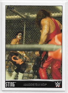 2015 Topps WWE Sting Tribute card #29 of 40